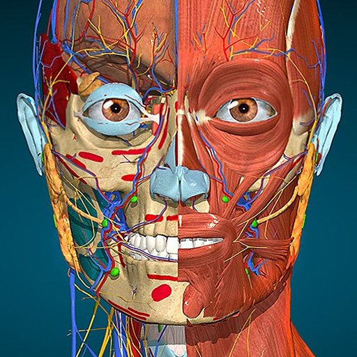 Anatomy Learning 3D Anatomy v3.1.489 MOD APK [Full version Unlocked]