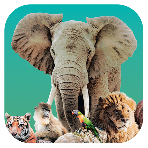 Ark Nova v1.0.5 APK [Full Game]