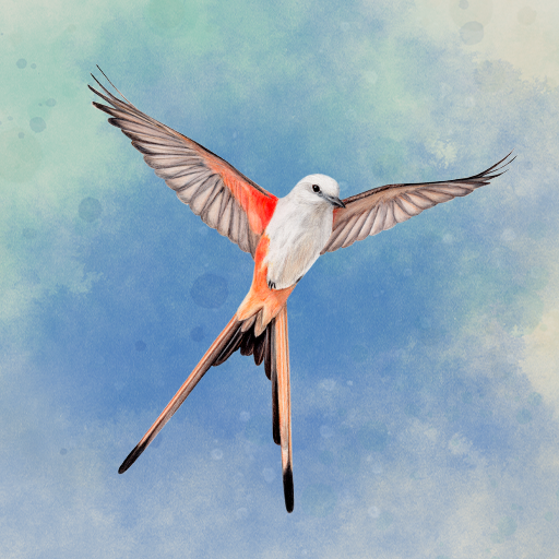 Wingspan: The Board Game v1.7.906 MOD APK [Unlocked all]